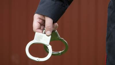 Роман Протасевич - "Жив, здоров": адвокат Протасевича провела встречу с задержанным - inforeactor.ru - Вильнюс - Минск