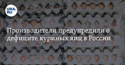 Производители предупредили о дефиците куриных яиц в России - ura.news