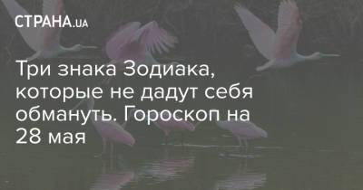 Три знака Зодиака, которые не дадут себя обмануть. Гороскоп на 28 мая - strana.ua