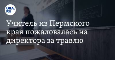 Учитель из Пермского края пожаловалась на директора за травлю - ura.news - Пермский край