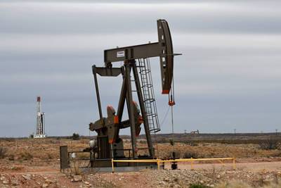 Крупнейшие нефтяные компании мира получили удар по планам - lenta.ru - Голландия - Гаага