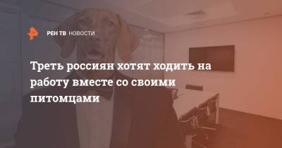 Треть россиян хотят ходить на работу вместе со своими питомцами - ren.tv