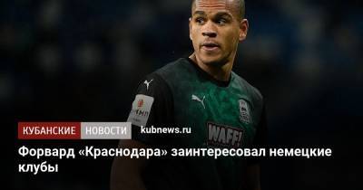 Форвард «Краснодара» заинтересовал немецкие клубы - kubnews.ru - Краснодарский край - Краснодар
