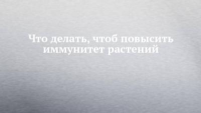 Что делать, чтоб повысить иммунитет растений - chelny-izvest.ru - респ. Татарстан