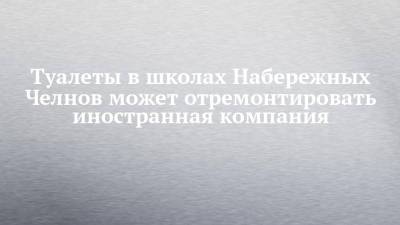 Туалеты в школах Набережных Челнов может отремонтировать иностранная компания - chelny-izvest.ru - Набережные Челны - Голландия
