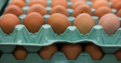 Минсельхоз оценил ситуацию на рынке птицеводческой продукции - klops.ru