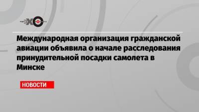 Роман Протасевич - София Сапеги - Международная организация гражданской авиации объявила о начале расследования принудительной посадки самолета в Минске - echo.msk.ru - Вильнюс - Минск - Ирландия