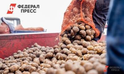 Евгений Поторочин - Красноярский край удвоил объемы сельскохозяйственного экспорта - fedpress.ru - Красноярский край - Красноярск