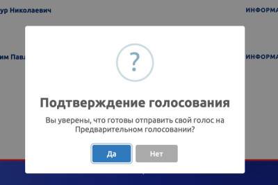Голосование на праймериз «Единой России» в Туле: тест-драйв на пятый день - tula.mk.ru - Тула - Тульская обл.