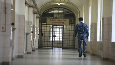 В ОНК сообщили о жалобах заключённых на задержку писем и телеграмм в СИЗО - russian.rt.com - Москва