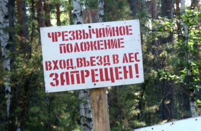 Свердловские власти почти на 2 недели ограничили посещение лесов из-за угрозы пожаров - interfax-russia.ru - Свердловская обл.