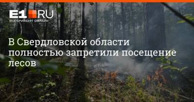 Евгений Куйвашев - Артем Устюжанин - В Свердловской области полностью запретили посещение лесов - e1.ru - Екатеринбург - Свердловская обл.