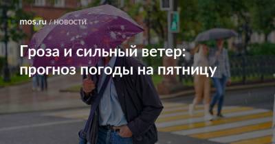 Гроза и сильный ветер: прогноз погоды на пятницу - mos.ru - Москва