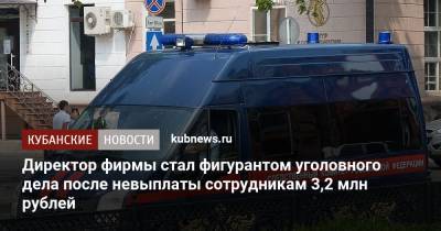 Директор фирмы стал фигурантом уголовного дела после невыплаты сотрудникам 3,2 млн рублей - kubnews.ru - Краснодарский край - Новороссийск - Следственный Комитет
