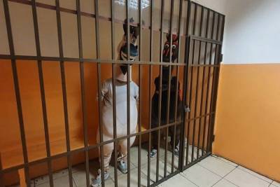 Полиция Сочи задержала аниматоров в костюмах лошадей, вымогавших деньги у туристов - mk.ru - Сочи