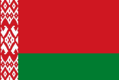 Петр Миклашевич - Всебелорусское собрание предложено наделить правом объявлять импичмент - mk.ru