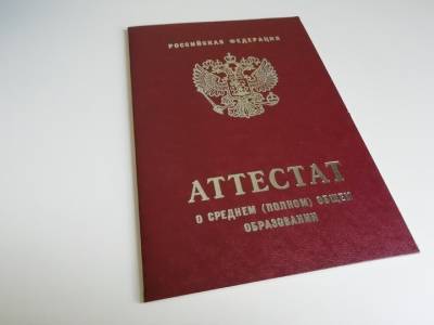 Депутат Курултая Башкирии удивилась сбору денег на аттестаты после окончания 9 класса - ufacitynews.ru - Башкирия