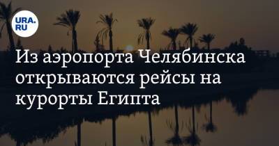 Из аэропорта Челябинска открываются рейсы на курорты Египта - ura.news - Египет - Челябинск - Каир