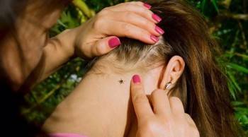 Сосущие твари атаковали вологжан в мае - vologda-poisk.ru - Вологодская обл. - Вологда