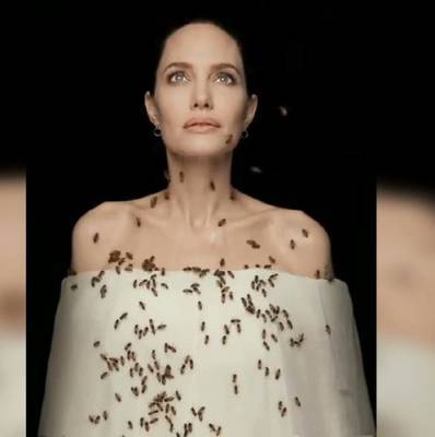 Анджелина Джоли - Альберт Эйнштейн - Пчёлы вымирают, по этой причине - человечеству грозит голод планетарного масштаба - argumenti.ru