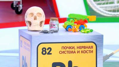 Мясников рассказал, как рис, грибы и игрушки могут нам навредить - vesti.ru