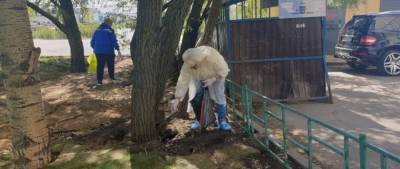 В Красногорске проводят дератизацию территорий - runews24.ru - Красногорск