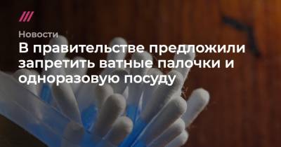 Дмитрий Кобылкин - В правительстве предложили запретить ватные палочки и одноразовую посуду - tvrain.ru