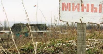 16-летняя жительница ОРДО через минные поля сбежала в свободную Украину - dsnews.ua - ДНР - Горловка