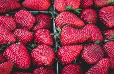 Цены на клубнику в Украине уже ниже прошлогодних - agroportal.ua - Украина