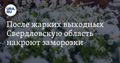 Галина Шепоренко - После жарких выходных Свердловскую область накроют заморозки - ura.news - Свердловская обл.