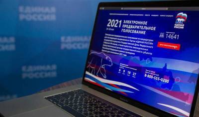 Илья Массух - «Единая Россия» поставила рекорд по электронному голосованию - nashgorod.ru