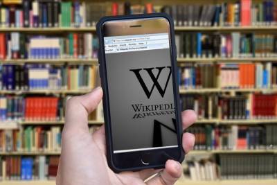 Александр Хинштейн - Российская Wikipedia заявила о риске получить статус иноагента - mk.ru