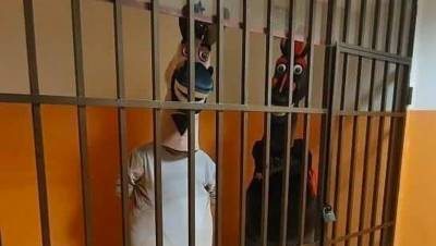 В Сочи на пять суток посадили коня и осла - gazeta.ru - Крым - Сочи