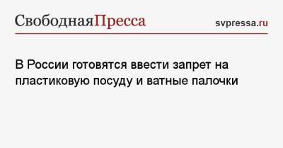 Викторий Абрамченко - В России готовятся ввести запрет на пластиковую посуду и ватные палочки - svpressa.ru - Ейск