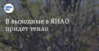 В выходные в ЯНАО придет тепло - ura.news - окр. Янао