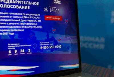 Каждый день на миллион: за 5 дней в праймериз «Единой России» приняли участие более 5 миллионов человек - online47.ru - Москва - Санкт-Петербург - Краснодарский край - Московская обл.
