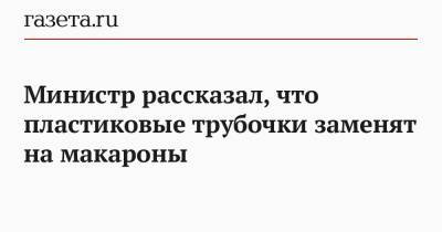 Александр Козлов - Министр рассказал, что пластиковые трубочки заменят на макароны - gazeta.ru - Экология