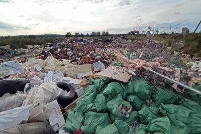 За год в Петербурге ликвидировали 260 свалок - abnews.ru - Санкт-Петербург