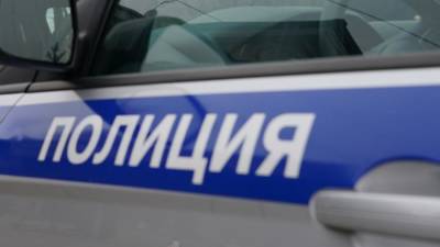 Полиция начала проверку по факту нападения на актера Котлярова в Москве - iz.ru - Москва