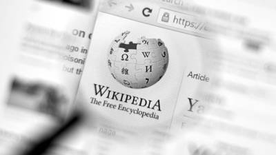 Антон Горелкин - В Госдуме объяснили, почему российская «Википедия» не станет иноагентом - gazeta.ru