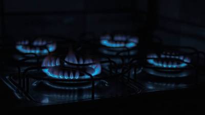 В Воронеже возбудили дело о смерти отравившейся угарным газом 25-летней девушки - vestivrn.ru - Воронеж