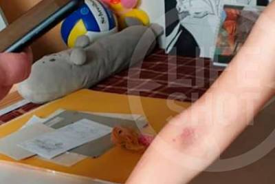 Россиянка била и связывала полиэтиленовыми пакетами приемных детей - lenta.ru - Москва - Сочи