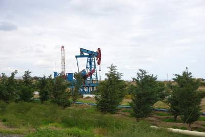 Власти ХМАО хотят отдать компаниям 55 участков для поиска и добычи 454 млн тонн нефти - znak.com - Югра