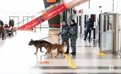 В аэропорту Казани в багаже азербайджанца нашли больше 10 кг пиявок - realnoevremya.ru - респ. Татарстан - Казань - Азербайджан - Баку
