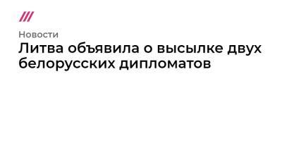 Эдгар Ринкевич - Роман Протасевич - Софья Сапеги - Литва объявила о высылке двух белорусских дипломатов - tvrain.ru - Литва - Рига - Минск - Латвия