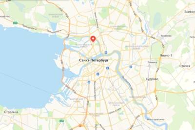 Жители Петербурга составят «народную» карту осадков - spb.mk.ru - Петербурга
