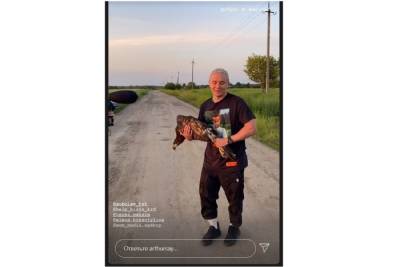 Илья Соболев - Под Краснодаром стендапер Илья Соболев выпустил на волю спасённого орла - kuban.mk.ru - Краснодар