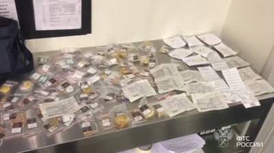 В Пулковском аэропорту задержали мужчину с «драгоценными» тортами - abnews.ru - Прага