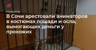 В Сочи арестовали аниматоров в костюмах лошади и осла, вымогающих деньги у прохожих - tvrain.ru - Сочи - Краснодарский край