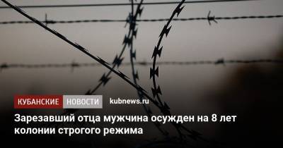 Зарезавший отца мужчина осужден на 8 лет колонии строгого режима - kubnews.ru - Краснодарский край - респ. Адыгея - Следственный Комитет